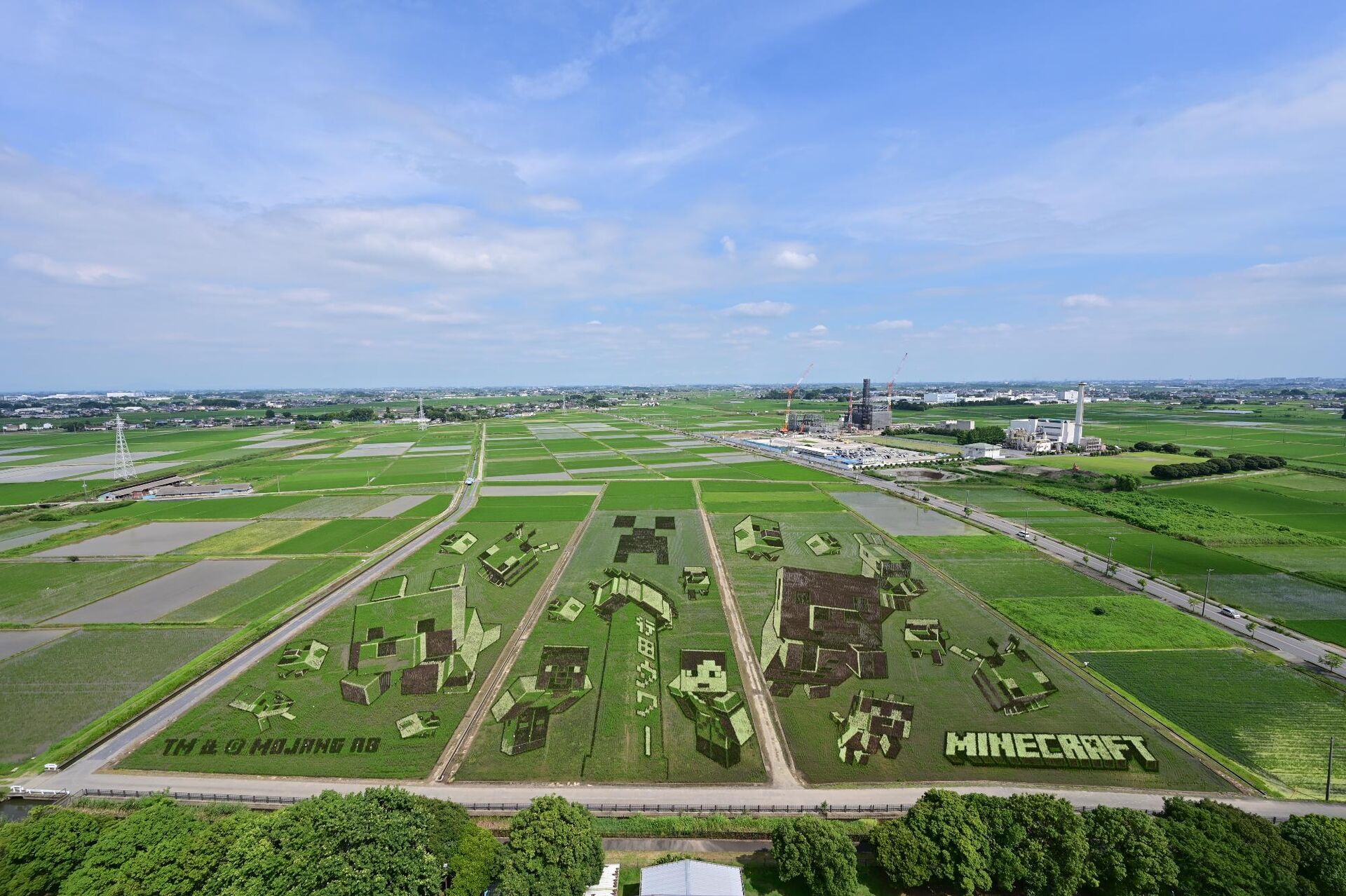 行田市の魅力を再発見！世界最大級の田んぼアートと『VIVANT』ロケ地で注目のまち。地域密着のmahalo不動産が応援します！